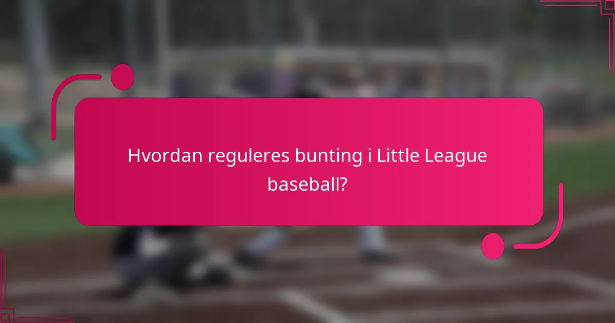 Hvordan reguleres bunting i Little League baseball?
